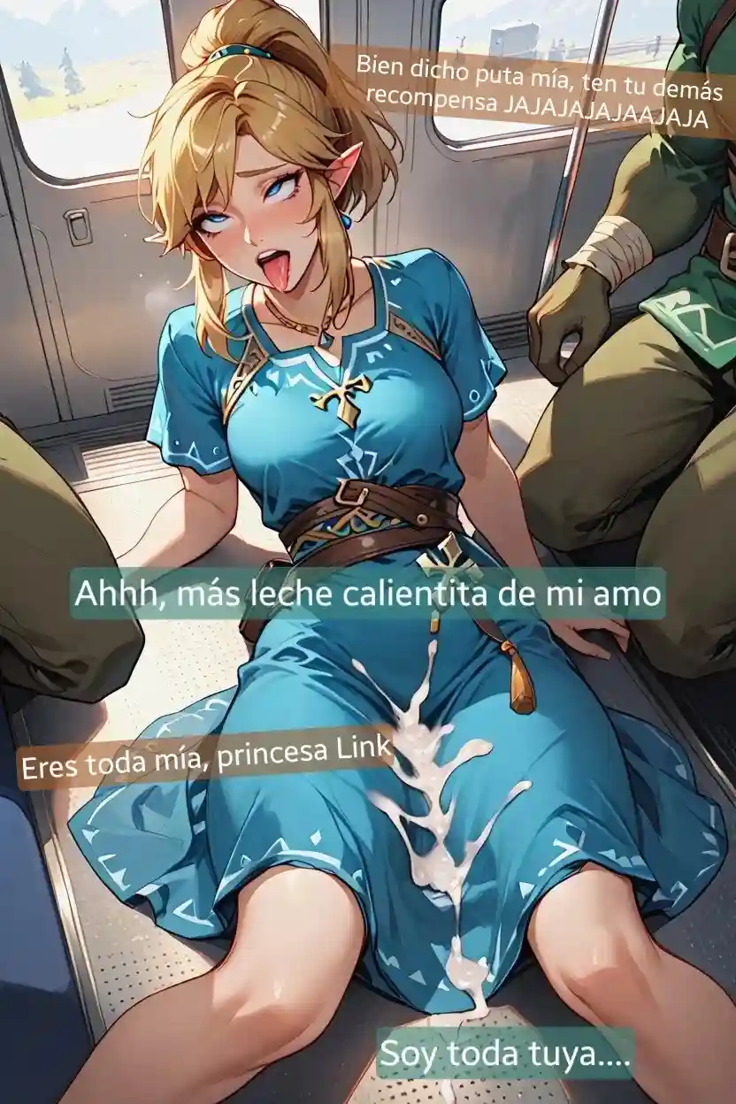 La princesa Link en el tren - 19