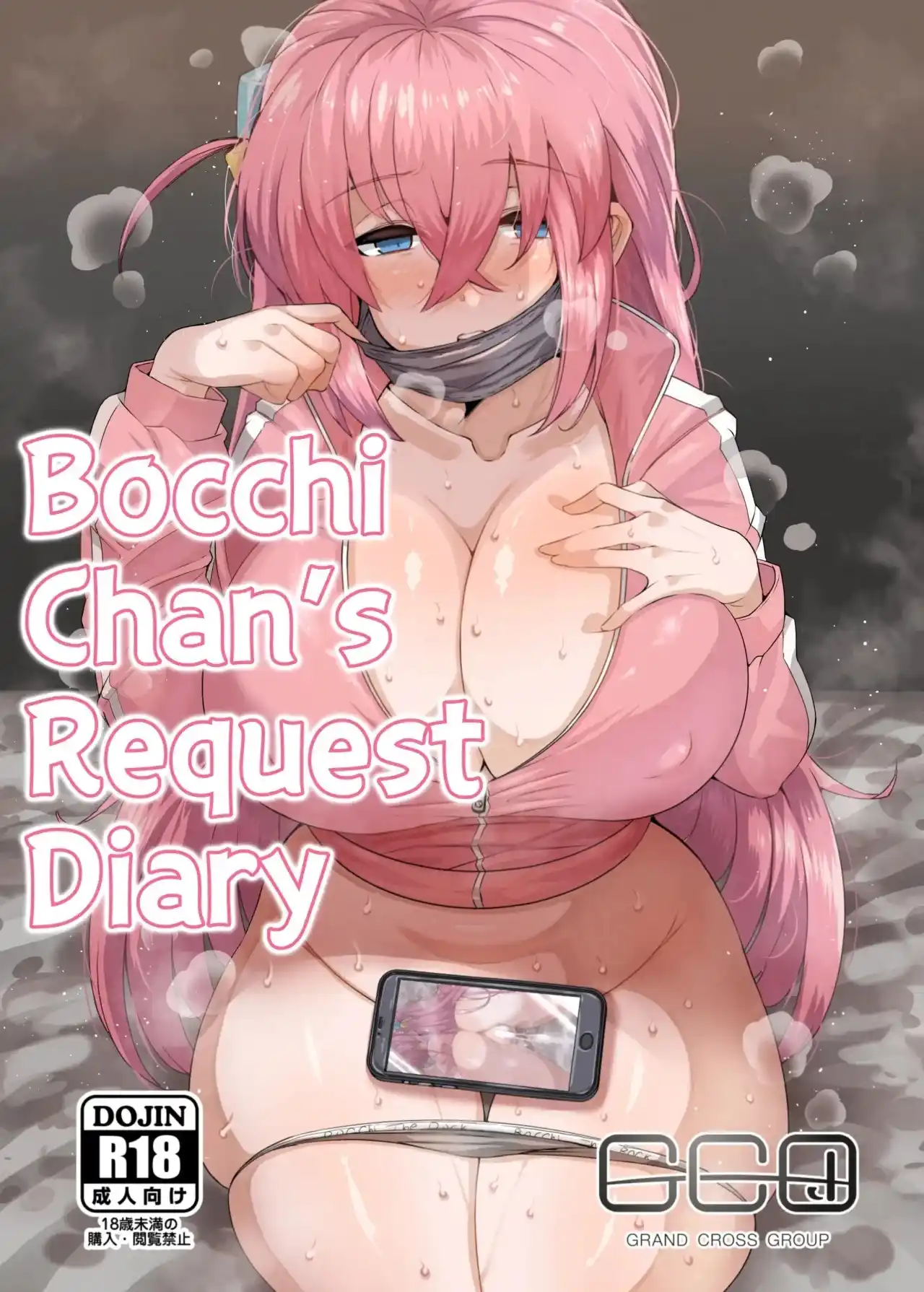 BOCCHI CHAN S REQUEST DIARYS