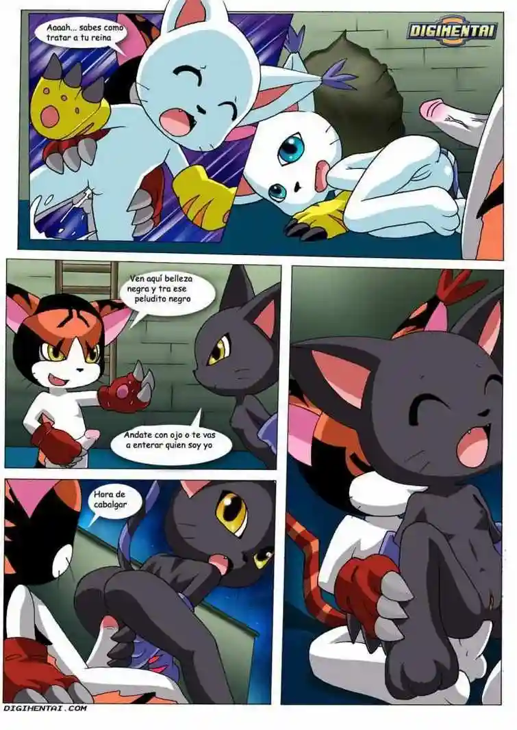 Gatomon en Celo 1 - 6