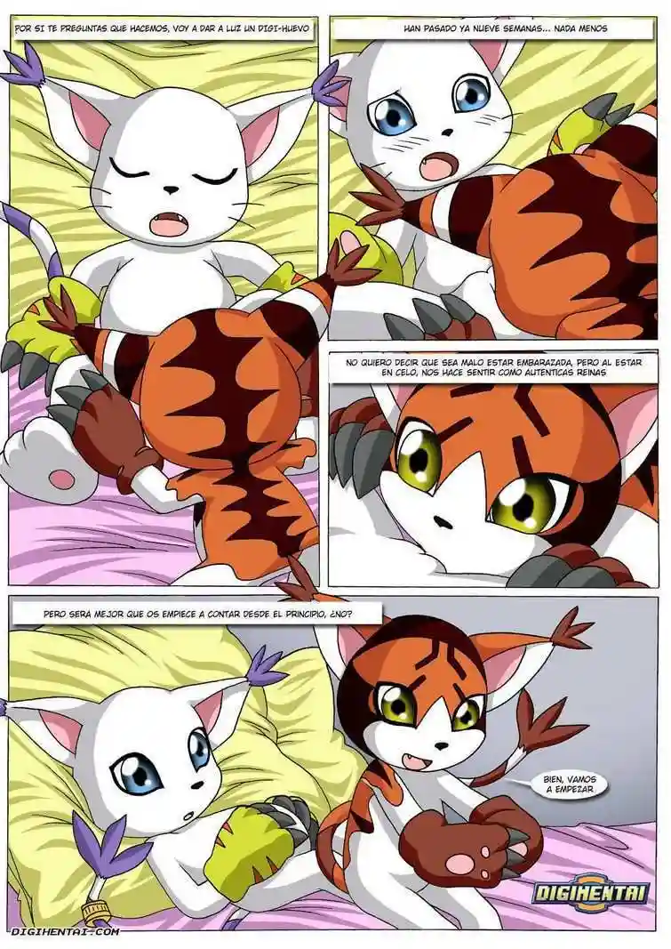 Gatomon en Celo 3 - 1