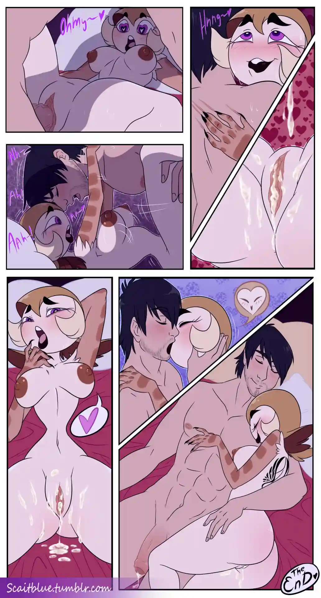 A Special Dinner Night - 1