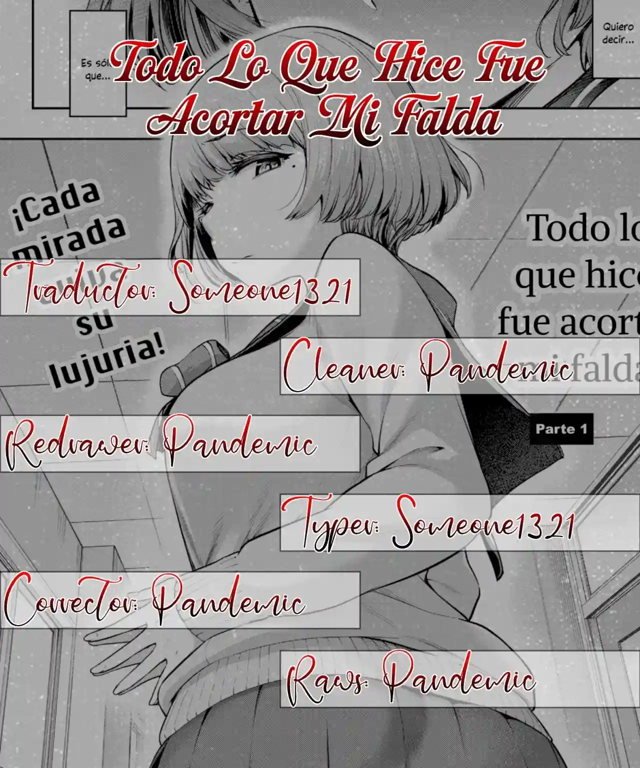 Todo lo que hice fue acortar mi falda