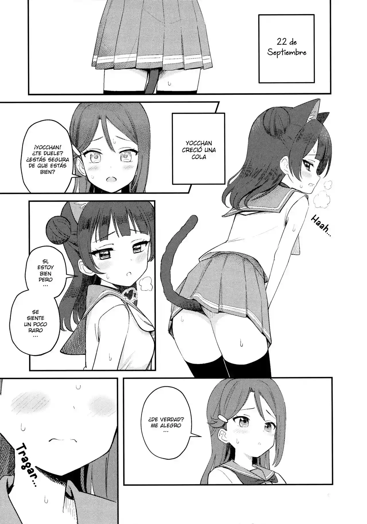 Diario de Entrenamiento Yohaneko - 5